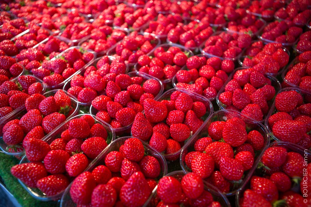 Erdbeeren aus der Bretagne